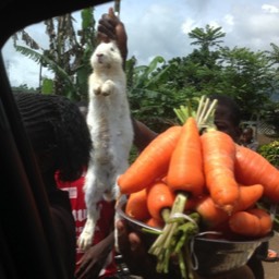 On the Road to Douala - Window Shopping... Rabbit anyone?